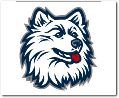 Connecticut Huskies logo